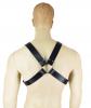 X-Harness Sex Toy Product Image 2