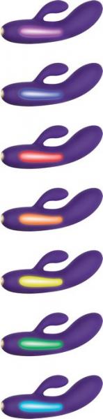 Aurora Light Up Rabbit Vibe Purple Sex Toy Product