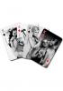 Sex And Mischief Playing Cards Sex Toy Product Image 1