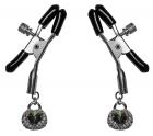 Precious Heart Nipple Clips Set Clamps Sex Toy Product