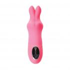 Sincerely Bunny Vibe Pink Sex Toy Product