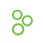 Renegade Diversity Rings Green Sex Toy Product