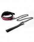 Sinful 1 inch Collar & Leash Pink Sex Toy Product
