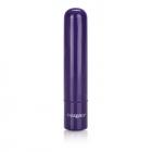 Tiny Teasers Bullet Vibrator Purple Sex Toy Product