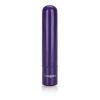 Tiny Teasers Bullet Vibrator Purple Sex Toy Product Image 1