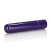 Tiny Teasers Bullet Vibrator Purple Sex Toy Product Image 3
