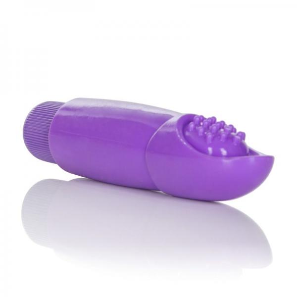 Zingers Personal Massager Purple Sex Toy Product