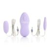 Twin Pleasure Pak Purple Bullet Vibrators Sex Toy Product Image 1