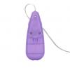 Silicone Slims Nubby Bullet Vibrator Purple  Sex Toy Product Image 3