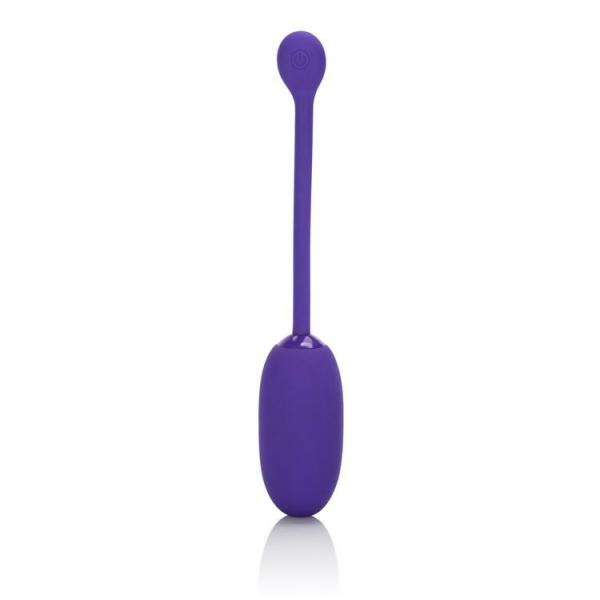 Rechargeable Kegel Ball Starter Purple Sex Toy Product