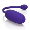 Rechargeable Kegel Ball Starter Purple Sex Toy Product Image 1