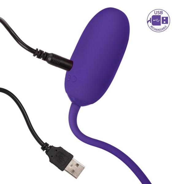 Rechargeable Kegel Ball Starter Purple Sex Toy Product