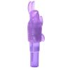 Shanes World Pocket Party Purple Vibrator  Sex Toy Product Image 1