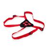 Red Rider Adjustable Strap On With 7 Inch Dong Sex Toy Product Image 3