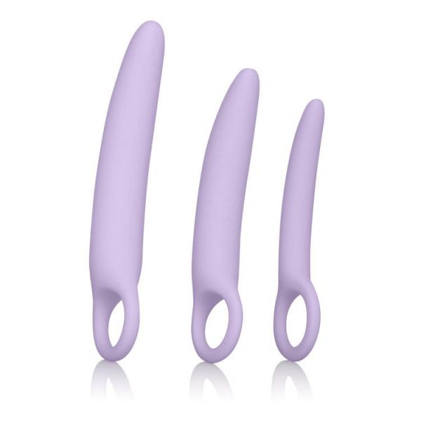 Dr Laura Berman Alena Set Of 3 Silicone Dilators  Sex Toy Product