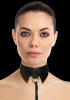Ouch Classic Collar With Leash Black Sex Toy Product Image 4