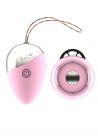 Retro Vibrating Isley Remote Egg Pink Sex Toy Product