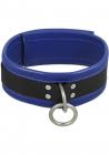 Black And Blue Leather Collar Sex Toy Product