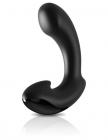 Sir Richard's Control P-Spot Massager Black Sex Toy Product