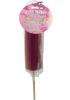 Jumbo Cock Fruit Pop Cherry Sex Toy Product Image 2
