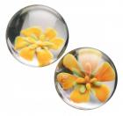 Asvani Glass Ben Wa Balls Sex Toy Product