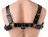 English Bull Dog Harness Black Leather  Sex Toy Product Image 2