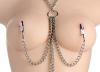 Collar Nipples And Clitoris Clamp Set Sex Toy Product Image 3