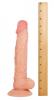 Raging Cockstars Nasty Boy Nick 7.5 Inch Dildo Sex Toy Product Image 2