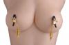 Lure Adjustable Nipple Clamps with Gold Spikes Sex Toy Product Image 2