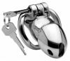 Rikers 24-7 Stainless Steel Locking Chasity Cage Sex Toy Product Image 2