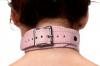 Frisky Miss Behaved Chest Harness Pink Sex Toy Product Image 3