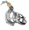 Detained Stainless Steel Chastity Cage Sex Toy Product Image 1