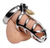 Detained Stainless Steel Chastity Cage Sex Toy Product Image 2