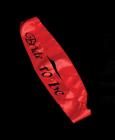 Bachelorette Bride To Be Flashing Sash Red Sex Toy Product