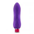 Aria Crystal Plum Purple Bullet Vibrator Kit Sex Toy Product