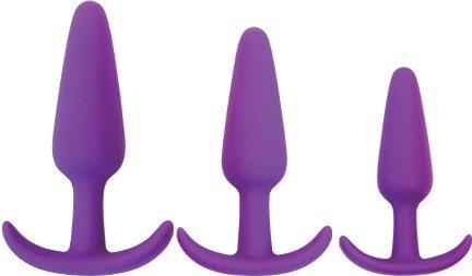 Rump Rockers 3 Piece Anal Plug Training Set Violet Sex Toy Product