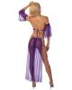 Sexy Belly Dancer Skirt & Panty Purple/Gold O/S Sex Toy Product Image 2