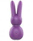 Femmefunn Funn Buddies Stubby 2 Massager Purple Sex Toy Product