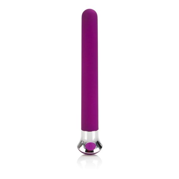 10 Function Risque Slim Purple Vibrator On Literotica