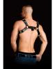 Ouch Costas Solid Structure 2 Black Chest Harness Sex Toy Product Image 4