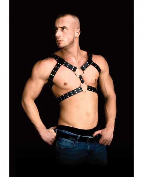 Andreas Masculine Masterpiece Body Harness Black Sex Toy Product