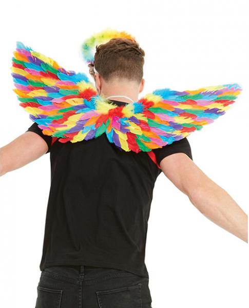 Rainbow Small Feather Wings Sex Toy Product