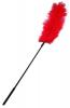 Body tickler ostrich feather - red Sex Toy Product Image 1