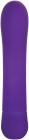 Eve's Orgasmic-G Purple G-Spot Vibrator Sex Toy Product