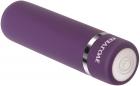 Purple Passion Bullet Vibrator Sex Toy Product