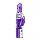 Desire Rabbit Vibrator Purple Sex Toy Product