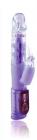 Wild Rabbit Vibrator - Purple Sex Toy Product
