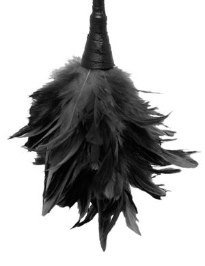 Fetish Fantasy Frisky Feather Duster Black Sex Toy Product