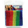 Gaysentials Rainbow Bandana Sex Toy Product Image 3