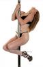 Mi Pole Professional Dance Pole  Sex Toy Product Image 3